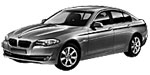 BMW F10 U0304 Fault Code